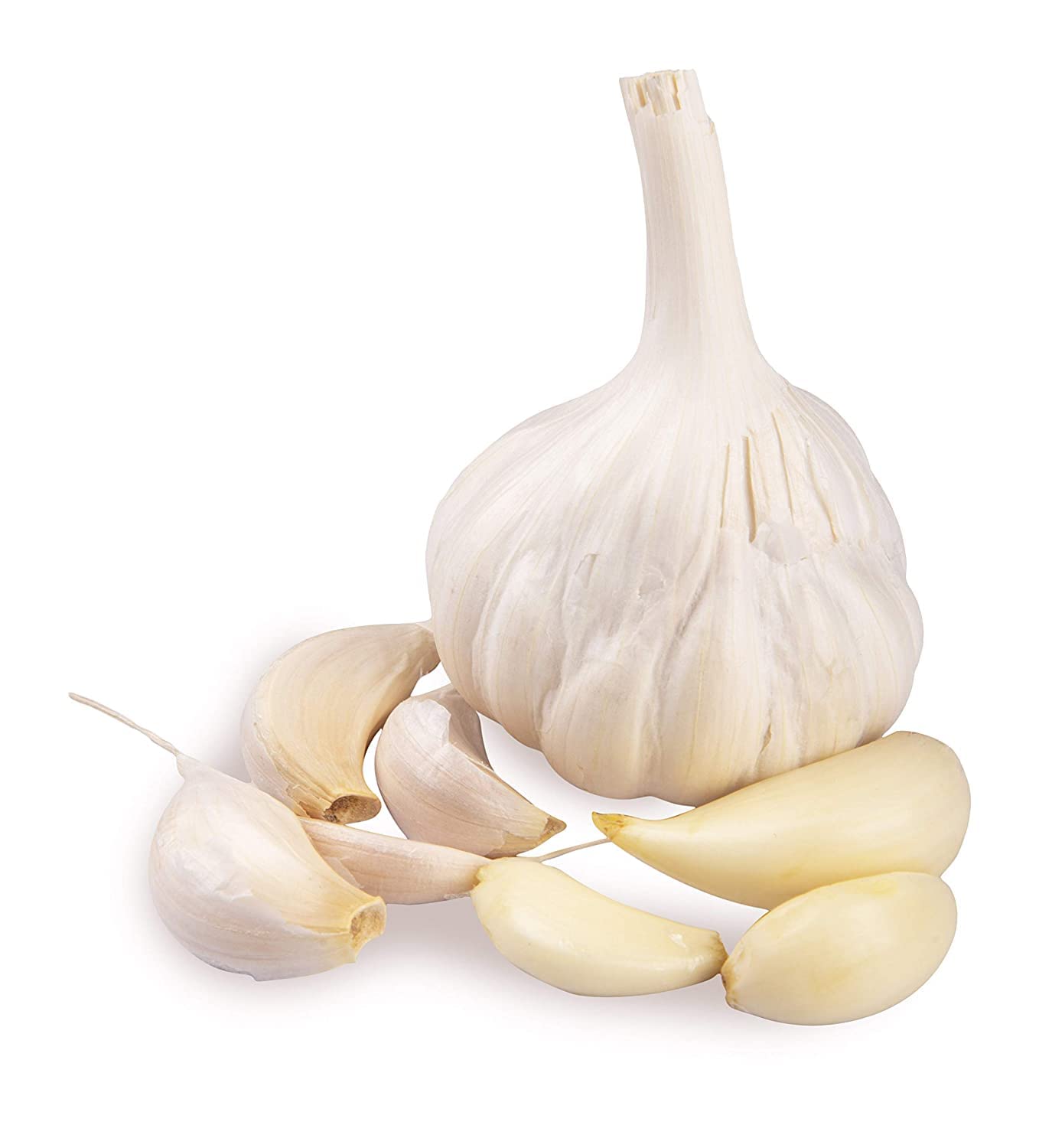 Garlic / রসুন
